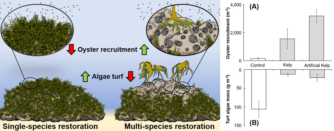 McAfee et al. 2020_Journal of Applied Ecology