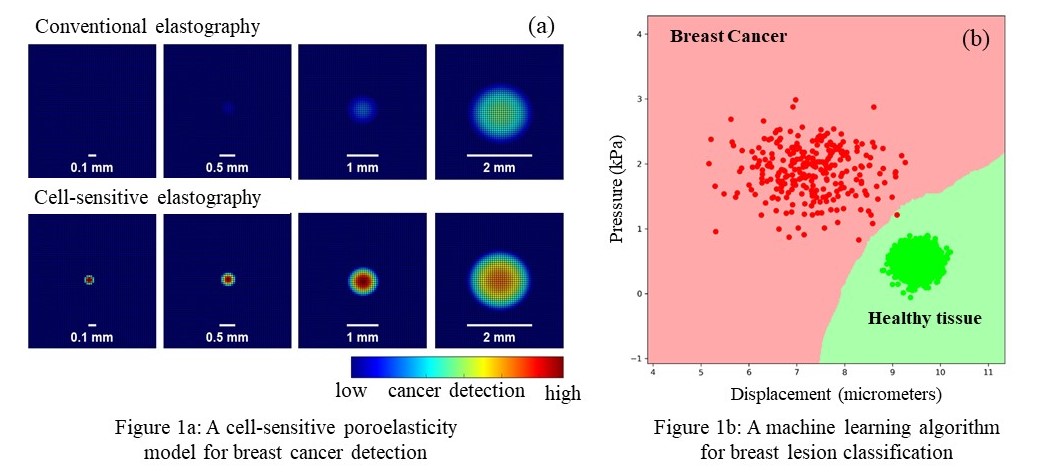 Figure 1a: Elastography images of breast tissue; Figure 2b: Machine learning classification