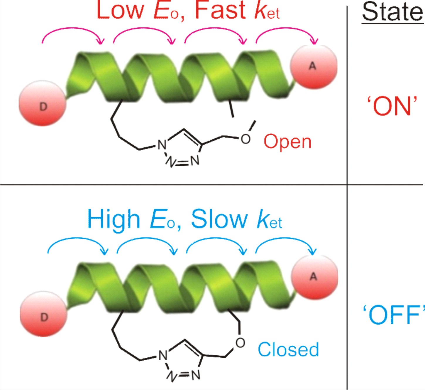 A direct link between backbone rigidity and electron transfer has been reported, providing a novel approach for the development of switchable molecular components.