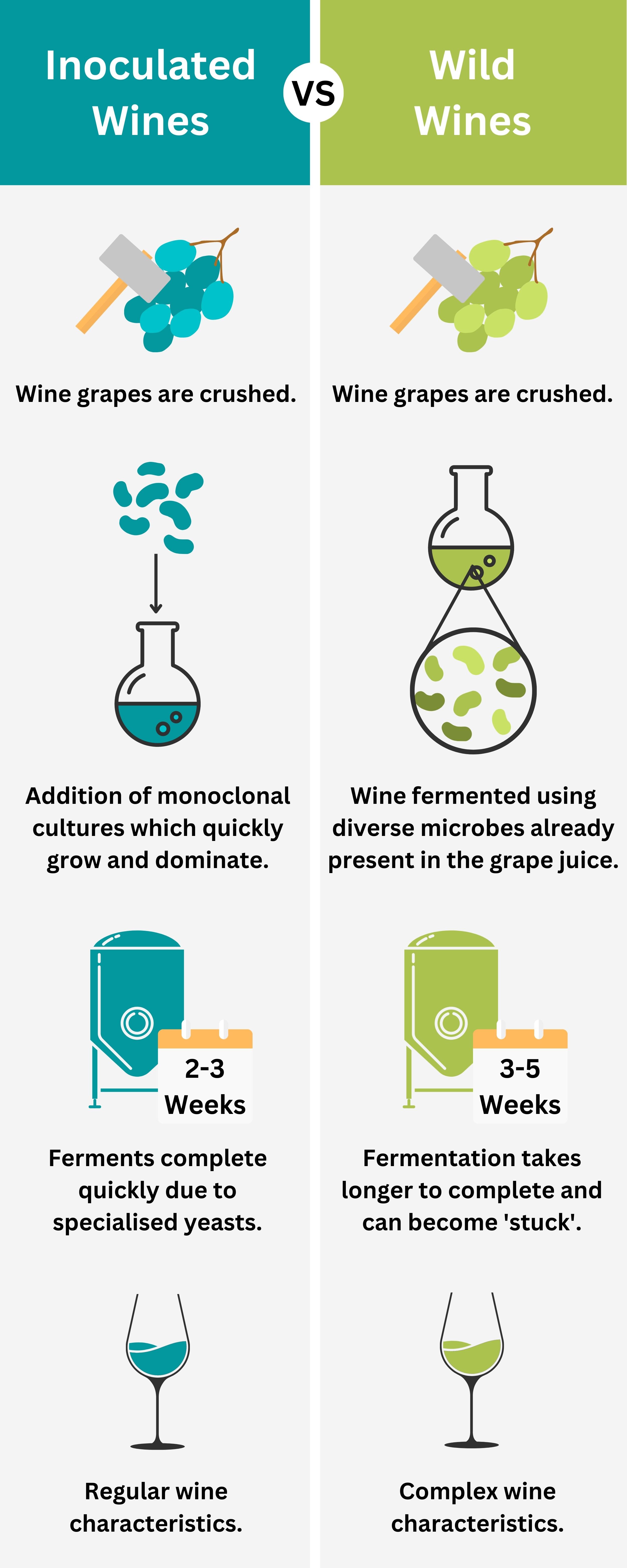 inoculated wines vs wild wines
