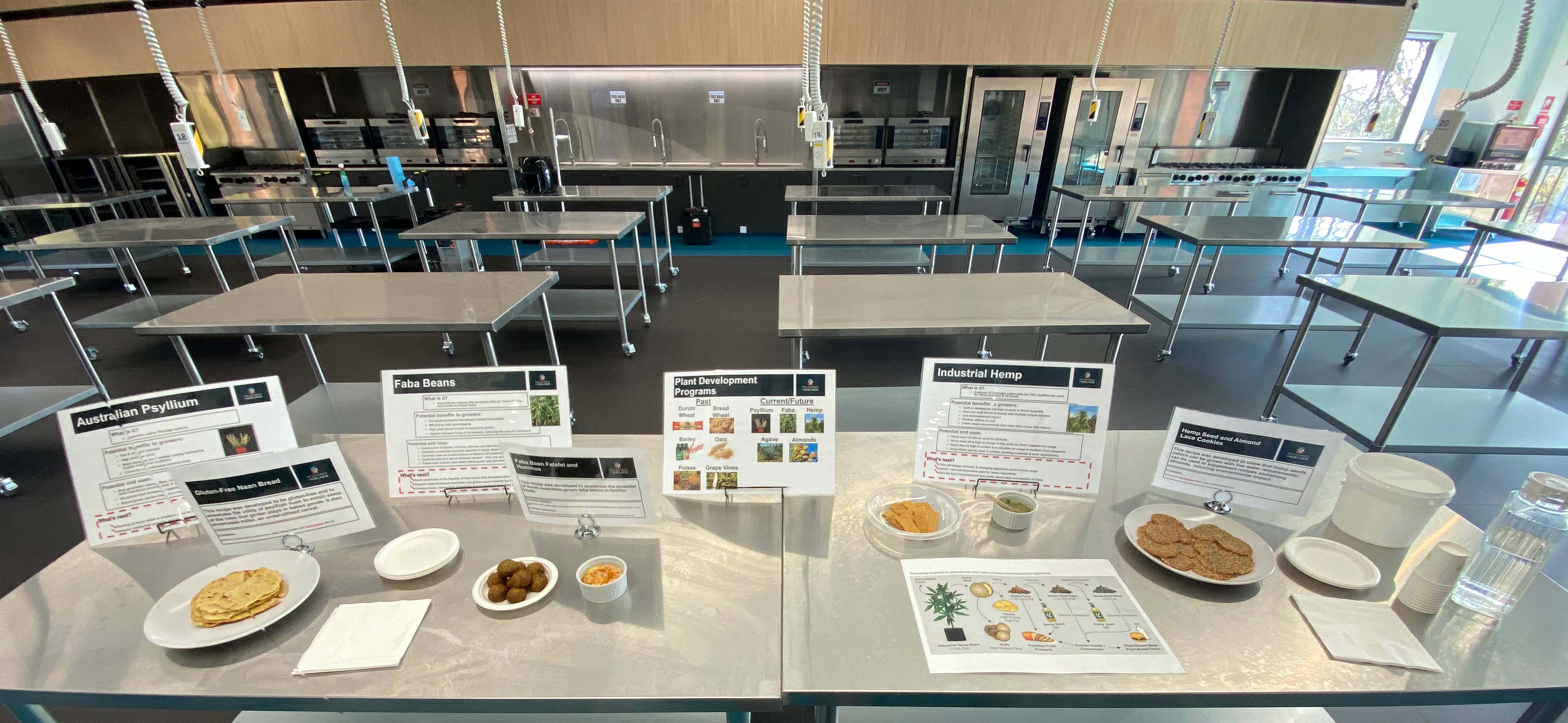 Several food samples arranged on a table for presentation