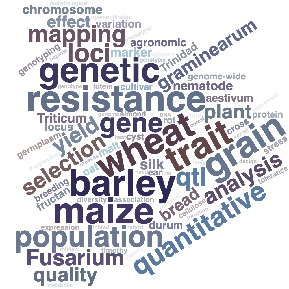  Cloud of words in various colors and sizes based on the Google Scholar profile for Diane Mather. Some of the largest words include wheat barley resistance maize trait grain genetic population gene quantitative loci qtl mapping analysis 