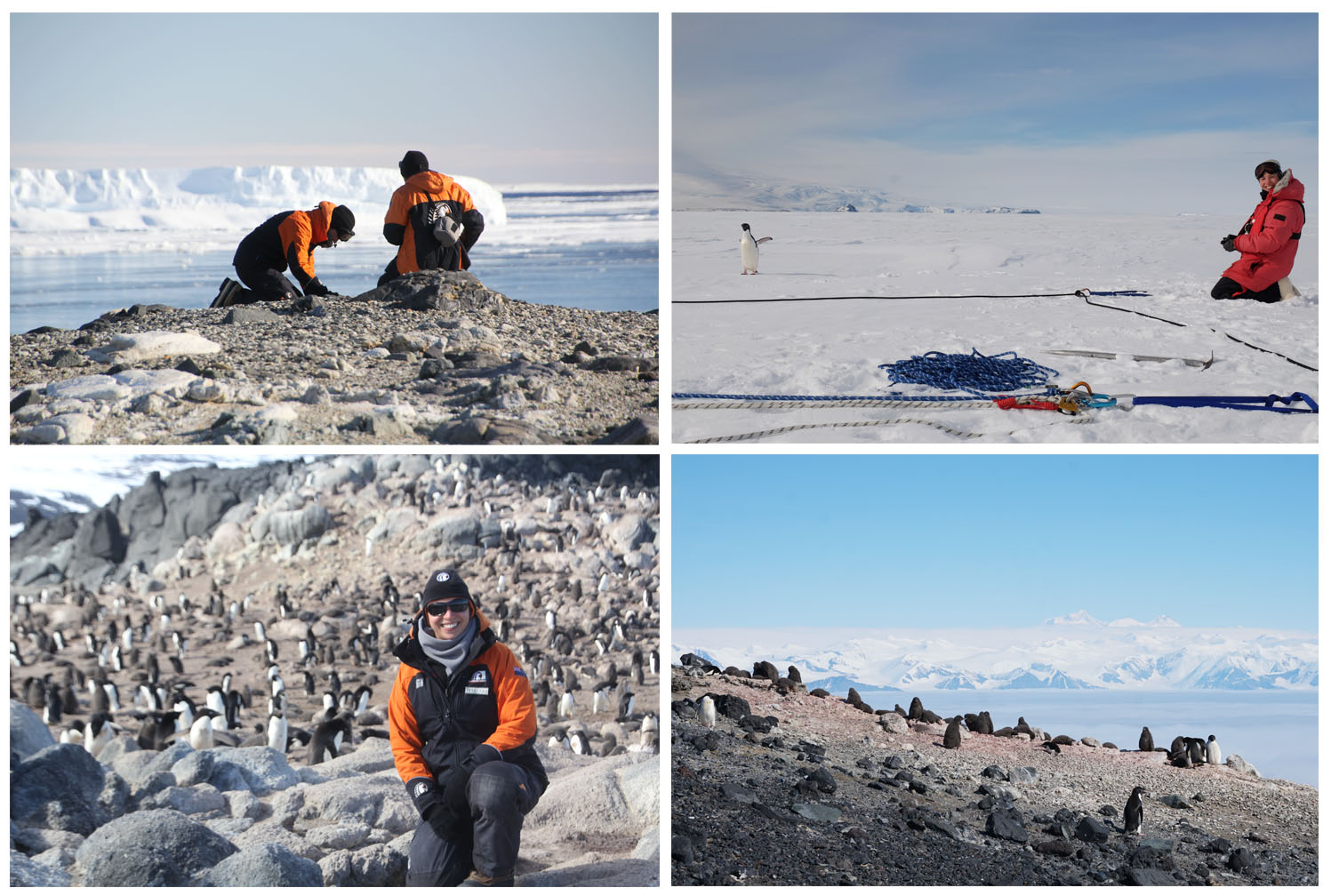 Antarctica