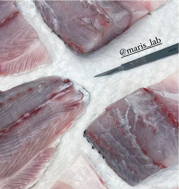 barramundi fillets