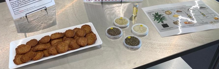 Cookies and samples of different hemp-derived ingredients