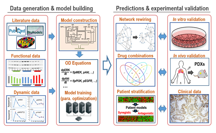 https://www.monash.edu/__data/assets/image/0020/2002196/fig-3-workflow-of-systems-based-approach.jpg