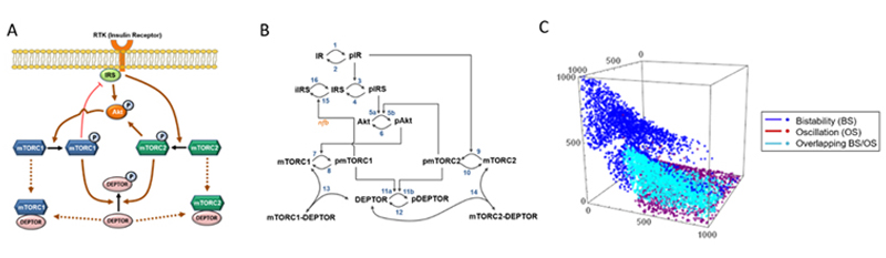 https://www.monash.edu/__data/assets/image/0014/2002316/fig_5.jpg
