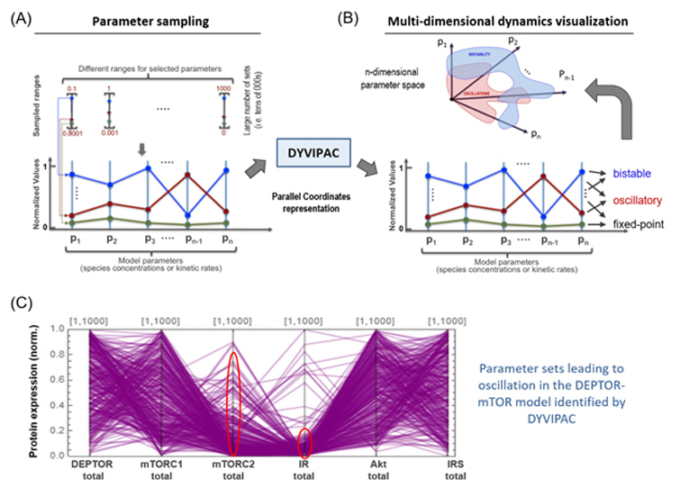 https://www.monash.edu/__data/assets/image/0015/2002317/fig_6.jpg
