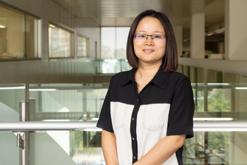 Xiaojing Wang
