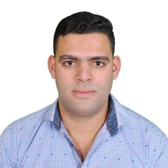 Mohamed Eldeib