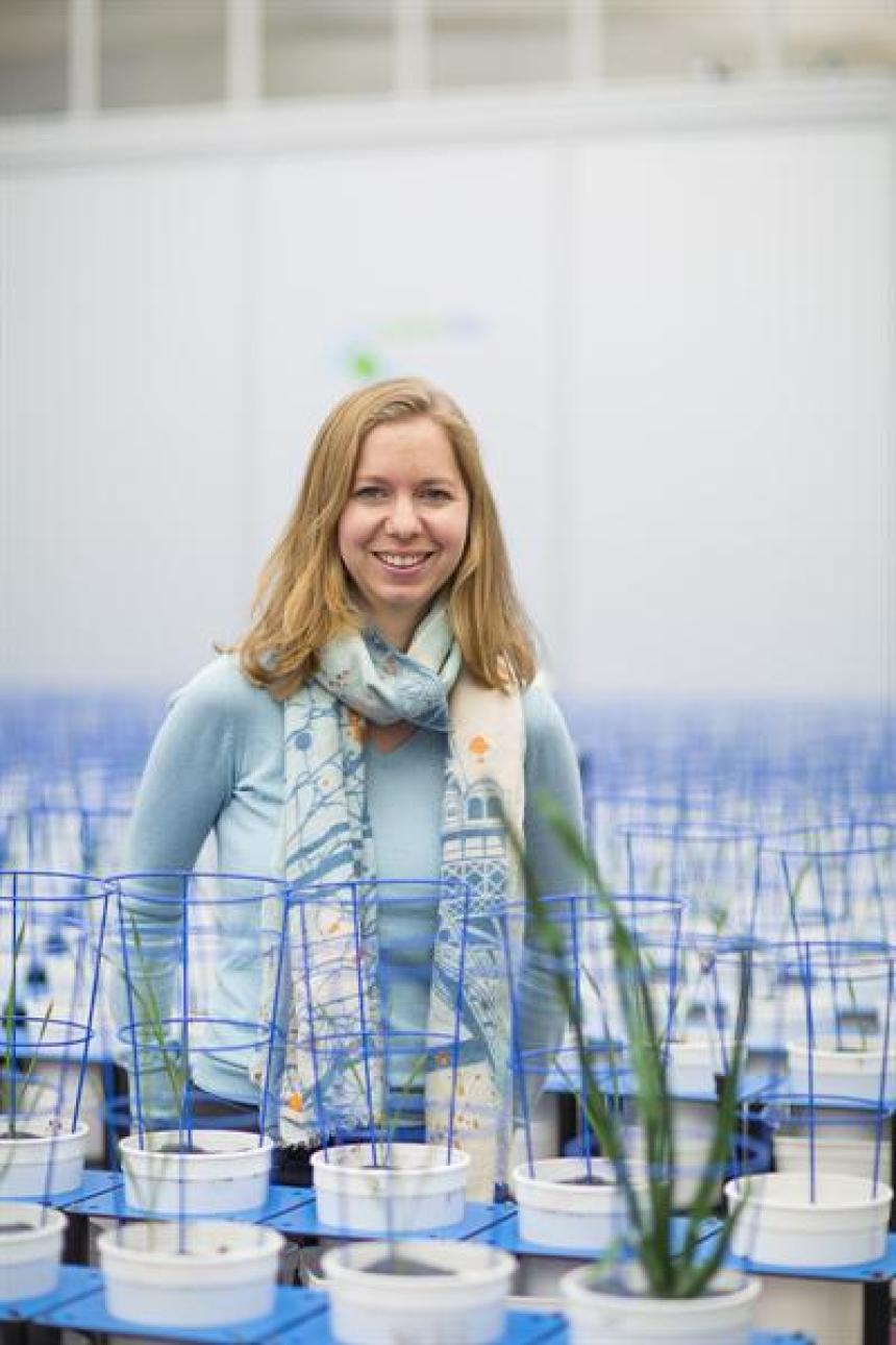 Bettina Berger