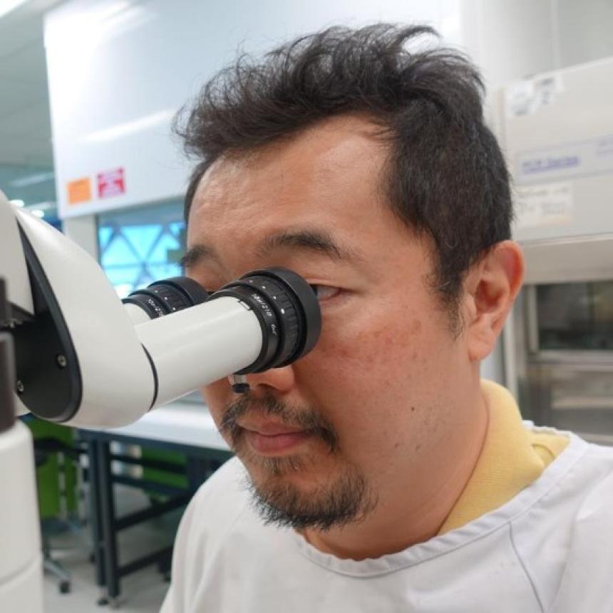Makoto Kamei