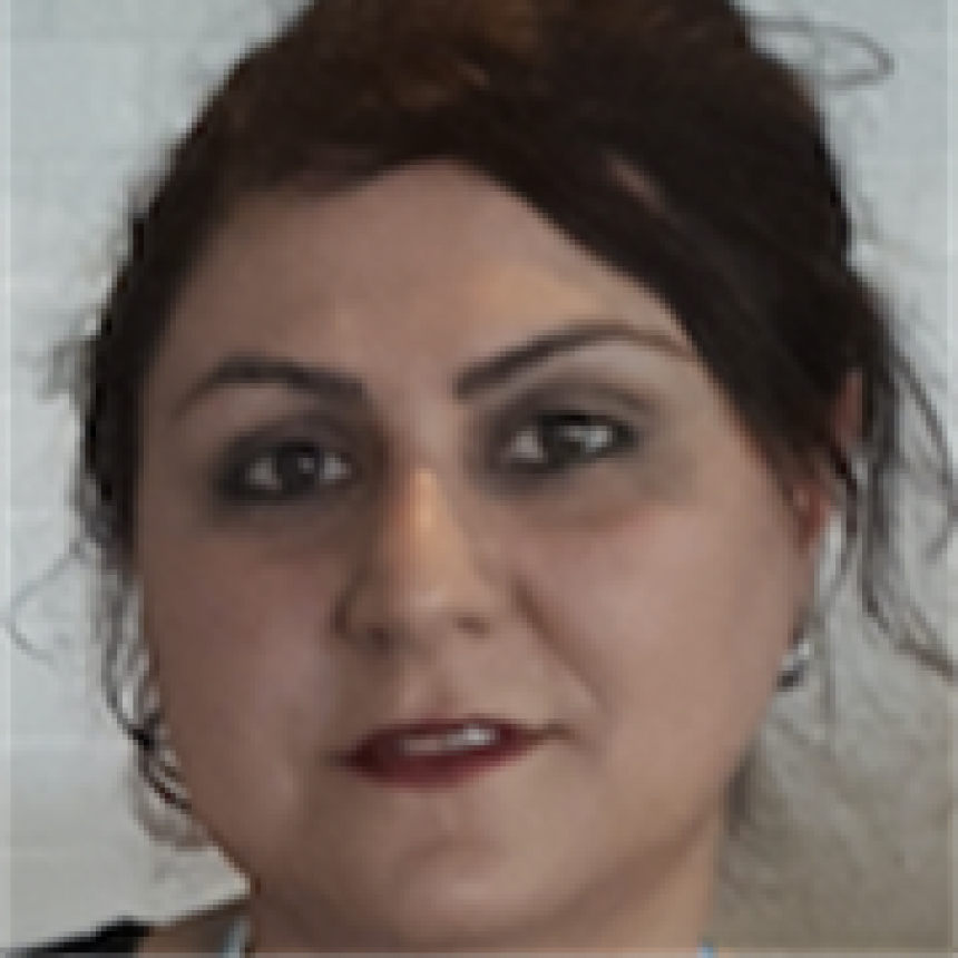 Neda Gorjian Jolfaei