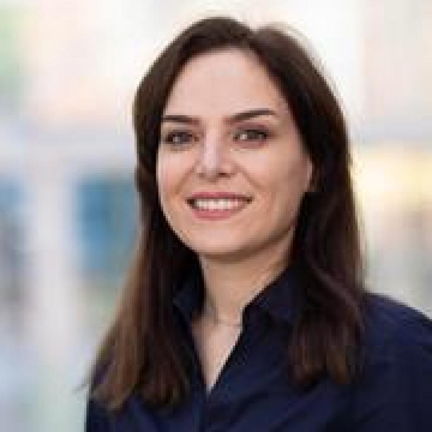 Elham Alipourtarzanagh