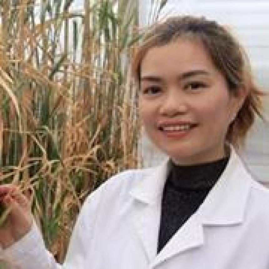 Hoai Phan