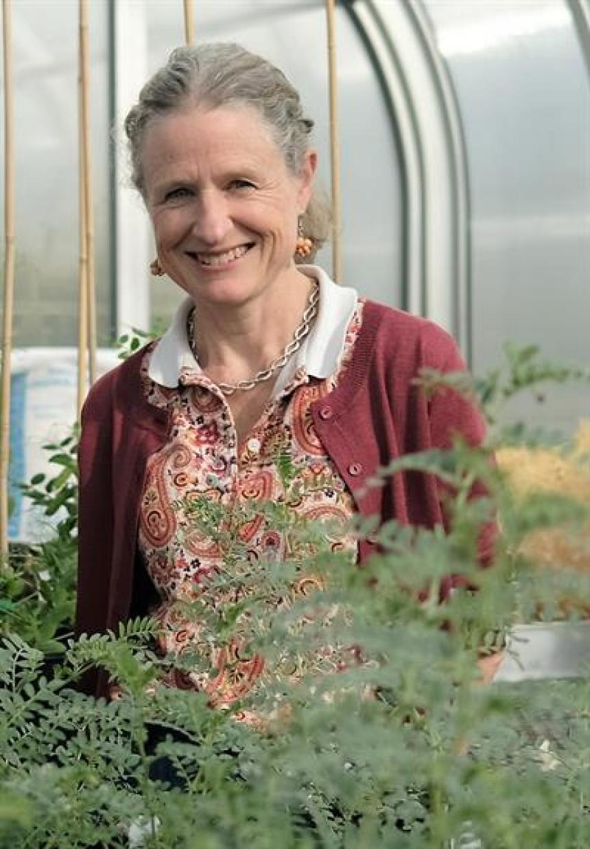 Julie Hayes