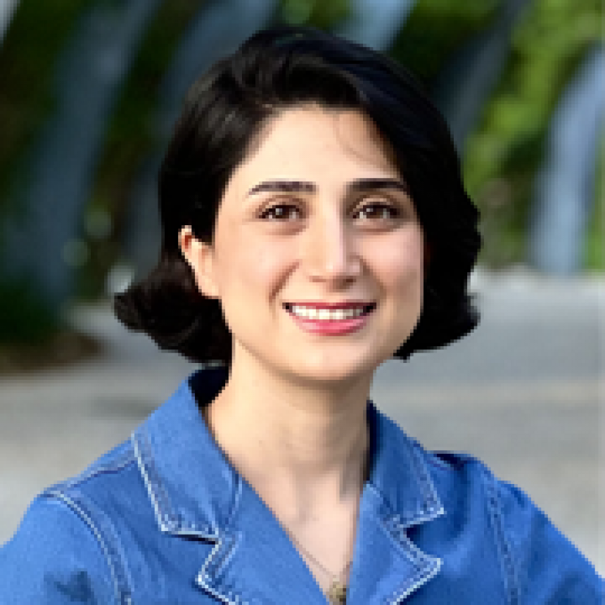 Fatemeh Emadi