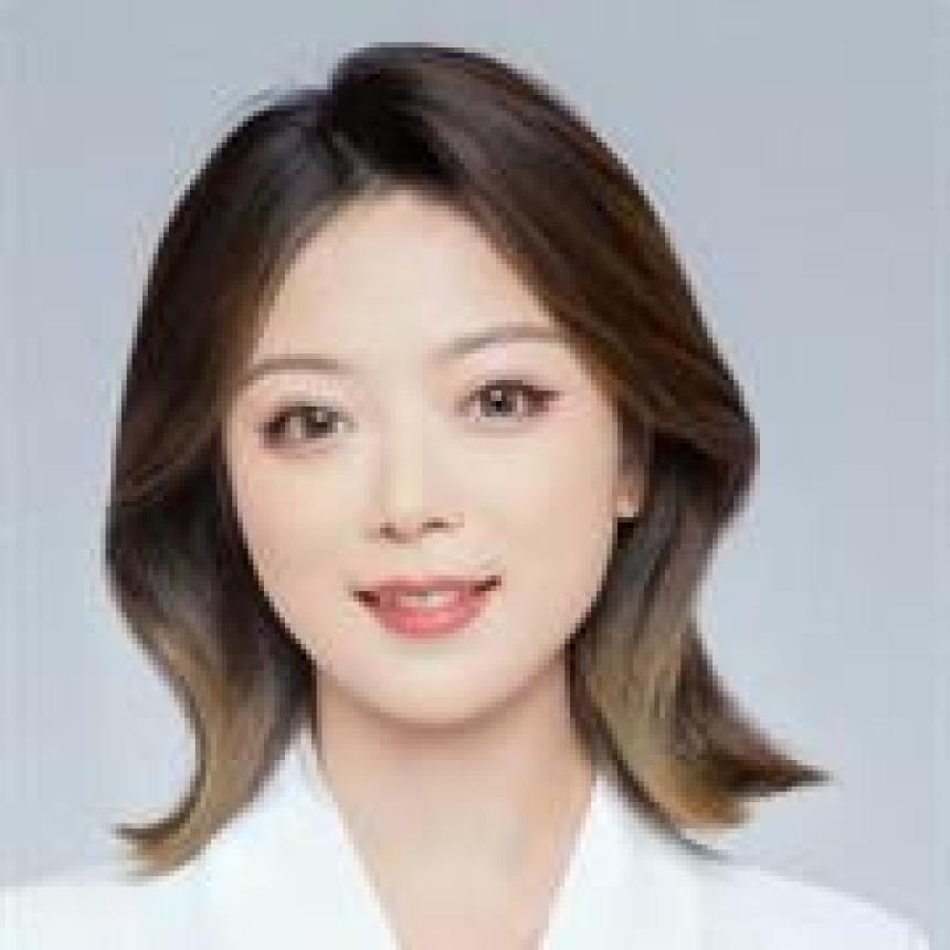 Wenjie Li