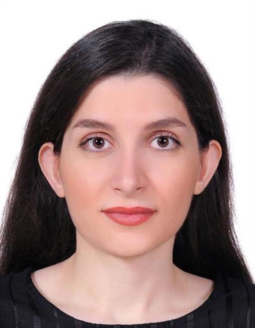 Elham Hosseini Marnani