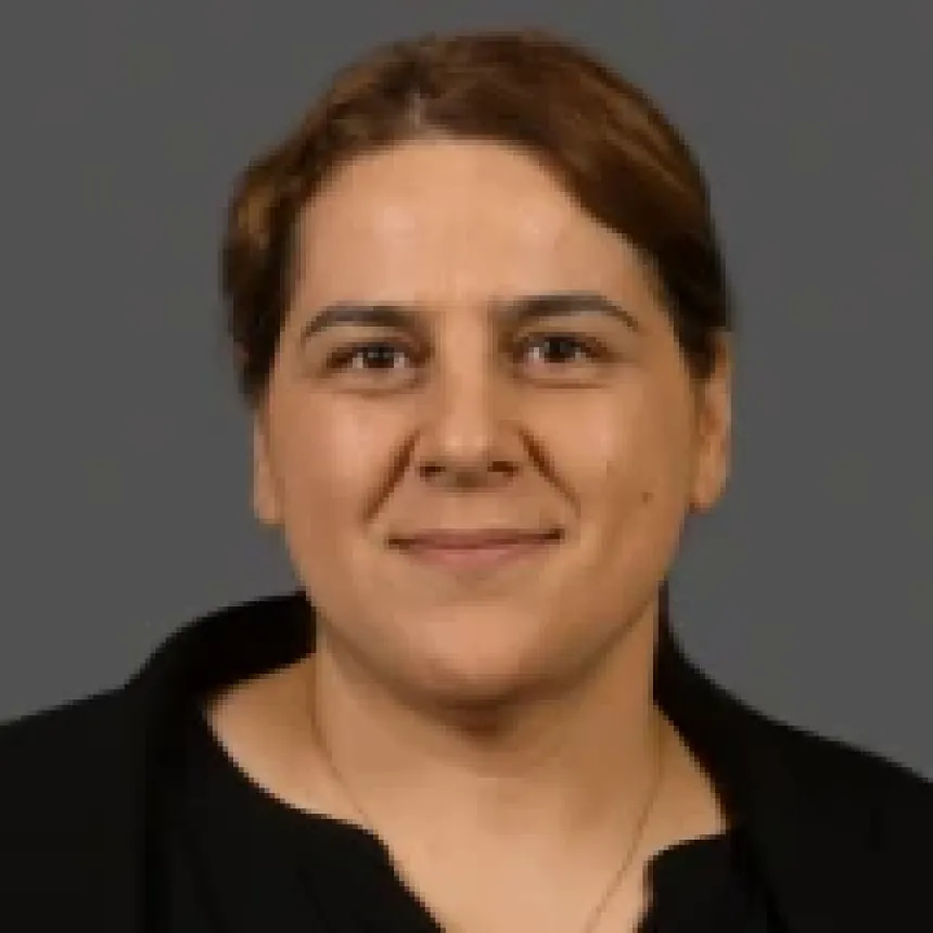 Shadab Bagheri Khoulenjani