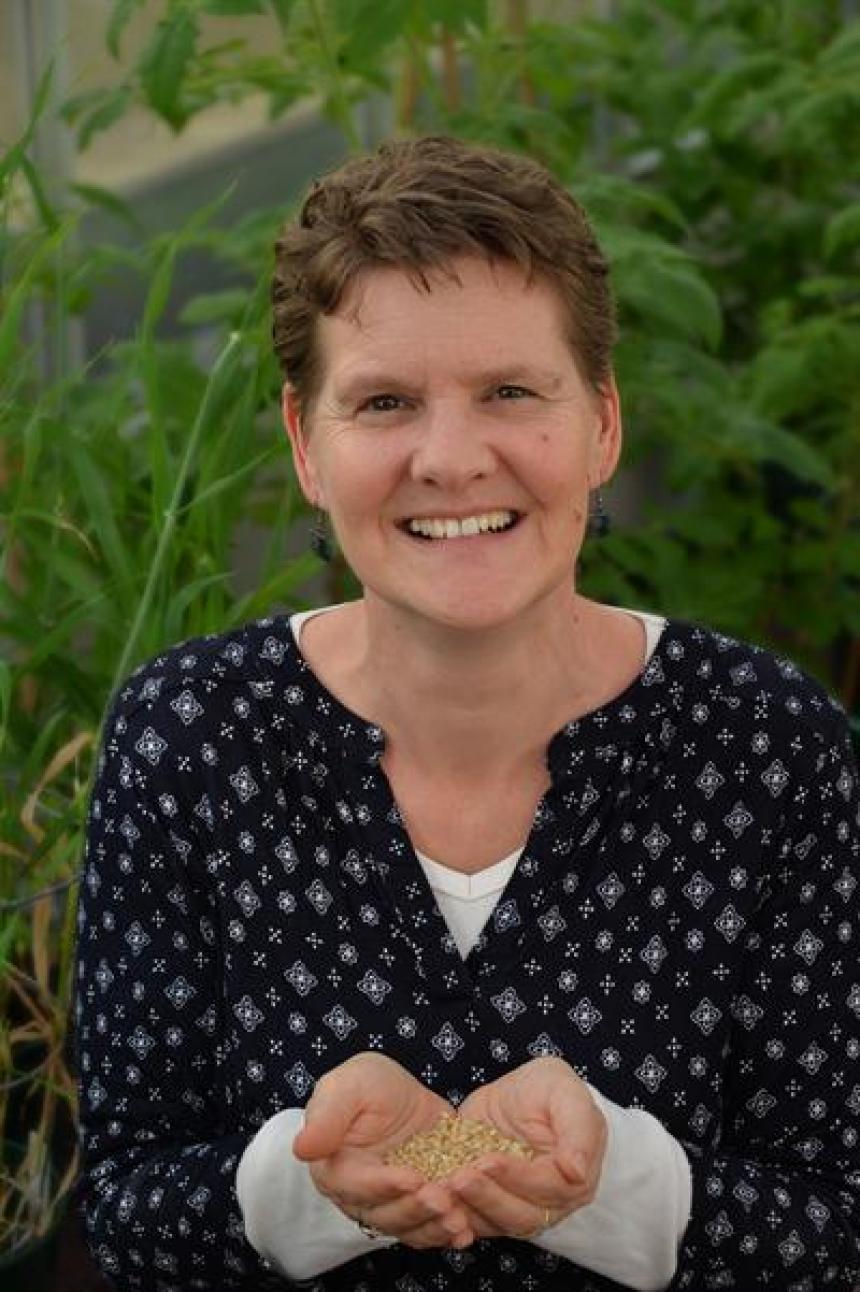 Rachel Burton